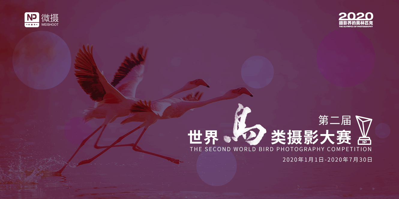 1579154114989094.jpg 微信图片_20200116135407.jpg